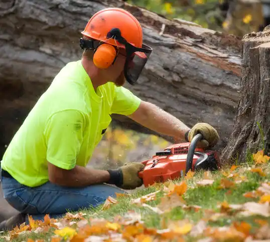 tree services McArthur